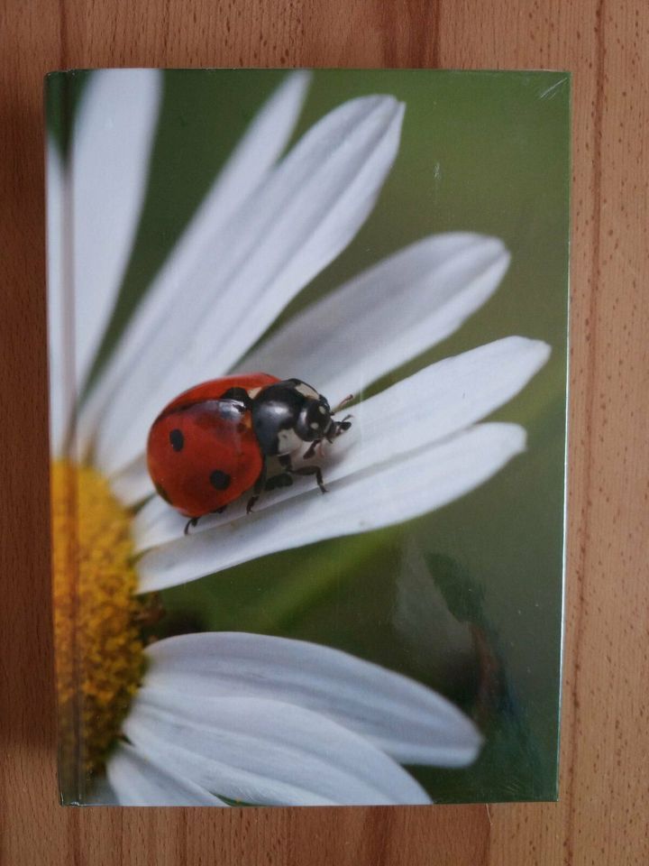 A5 Boutiquebücher NEU Marienkäfer Blätter 2 Stck Klade kariert in Kohren-Sahlis