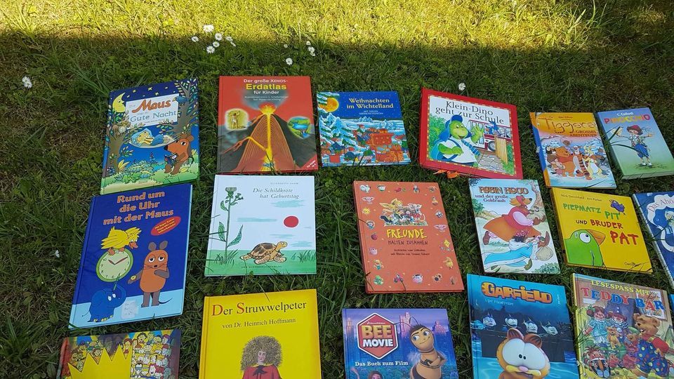 Kinder Bücher Konvolut 35 stück 2 DVD in Osterode am Harz
