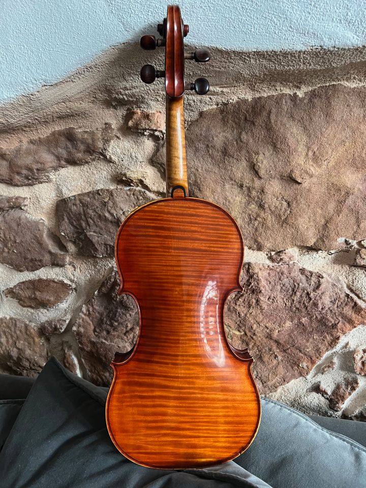 4/4 Geige Karel Boromejski Dvorak Prag 1906 Violine Meistergeige in Freiburg im Breisgau
