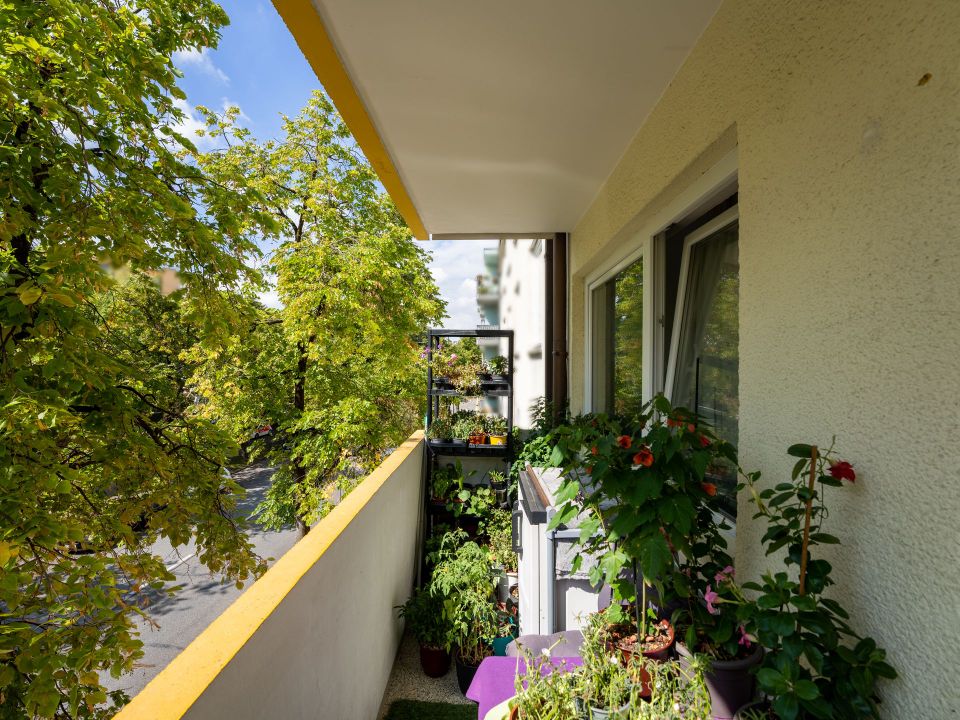 Solide vermietetes Apartment mit Balkon zw. Olympia- u. Luitpoldpark in München-Schwabing-West in München