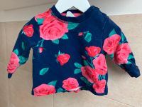 Pullover Oberteil mit Rosen - H&M Größe 68 - 2,50€ Bayern - Illertissen Vorschau