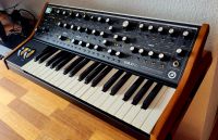Synthesizer Moog Sub 37 Tribute Edition analog + Case + Decksaver Brandenburg - Calau Vorschau