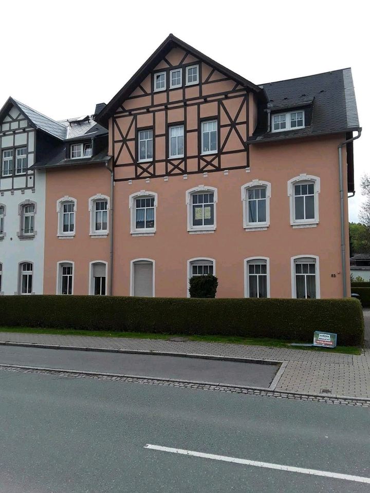 Schöne helle Wohnung mit Gartennutzung in Hohndorf