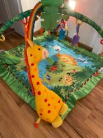 Fisher Price Spielebogen mit Musik & Batterien. Rainforest. Bayern - Willanzheim Vorschau