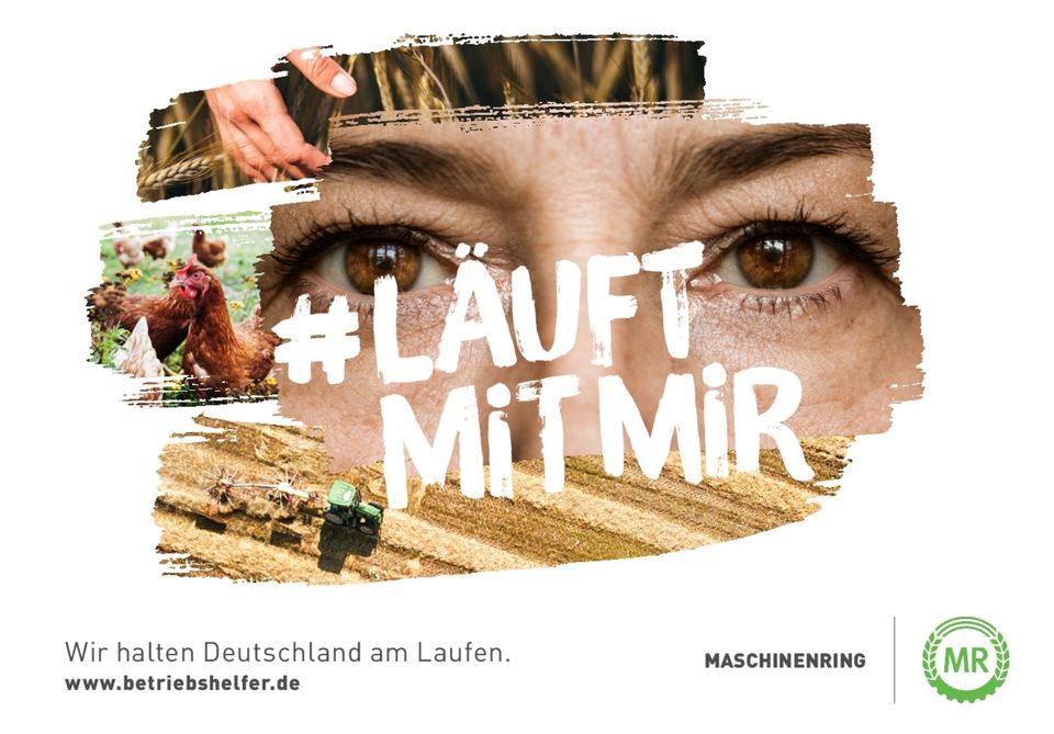 Landwirt, Job in der Landwirtschaft (m, w, d), Betriebshilfe in Löningen