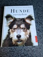 Buch Hunde verstehen neuwertig Bayern - Heimenkirch Vorschau