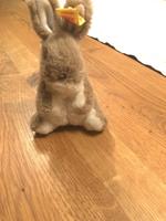 Steiff aufwartender (sitzender) Hase Manni 1502/10 Hessen - Taunusstein Vorschau
