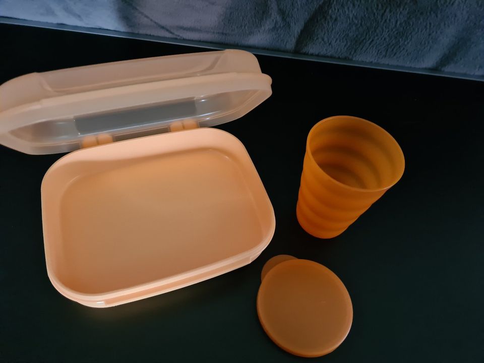 Naschkätzchen - Tupperware in Hamburg