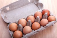 Frische Eier - Bioeier - Frühstücks Eier aus Freilandhaltung Niedersachsen - Melle Vorschau