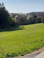 Streuobstwiese oder Wiese gesucht Bayern - Ebern Vorschau