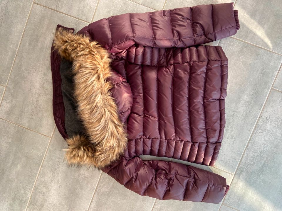 Wärmende Damen Esprit Winterjacke Daune Gr. 40 in Schneverdingen