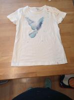 T Shirt Esprit S 140/146 neu Etikett Rheinland-Pfalz - Frankenthal (Pfalz) Vorschau