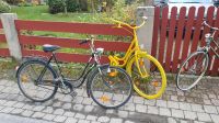 Hollandrad Fahrrad Schwanenhals Deko vintage Niedersachsen - Hohenhameln Vorschau