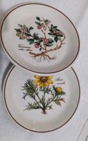 LIEBLINGSMOTIVE villeroy & boch Botanica vitro retro Bayern - Schweinfurt Vorschau