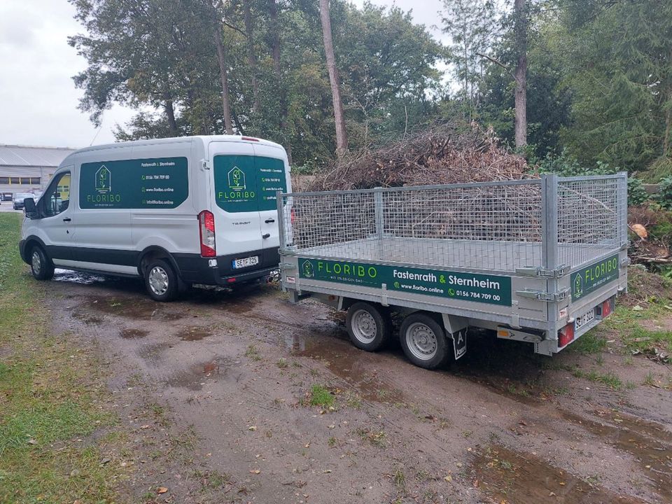 Grauflächenreinigung Terrassenreinigung Wegereinigung in Neumünster