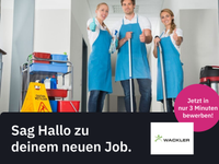 Teilzeit Reinigungskraft (m/w/d) (Wackler Group) Chemnitz - Altchemnitz Vorschau