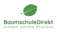 Einheimische Laubhecken aus Hainbuche/Rotbuche, Liguster & Co Kreis Pinneberg - Ellerhoop Vorschau