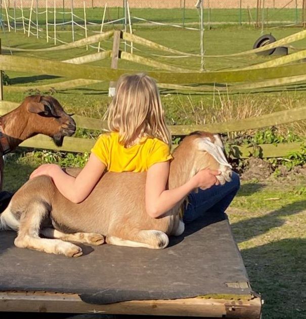 Tiergestützt: Fortbildung "Einblicke in die tiergestützte Arbeit" in Warsow