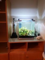 Aquarium 30l Nordrhein-Westfalen - Pulheim Vorschau