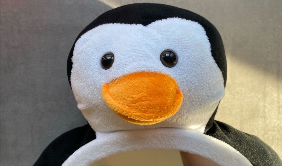 Autospiegel Little Luca - Pinguin in Hürth