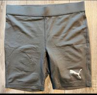 Puma Shorts❤️ Gr. 48/50 M grau Sachsen-Anhalt - Halle Vorschau