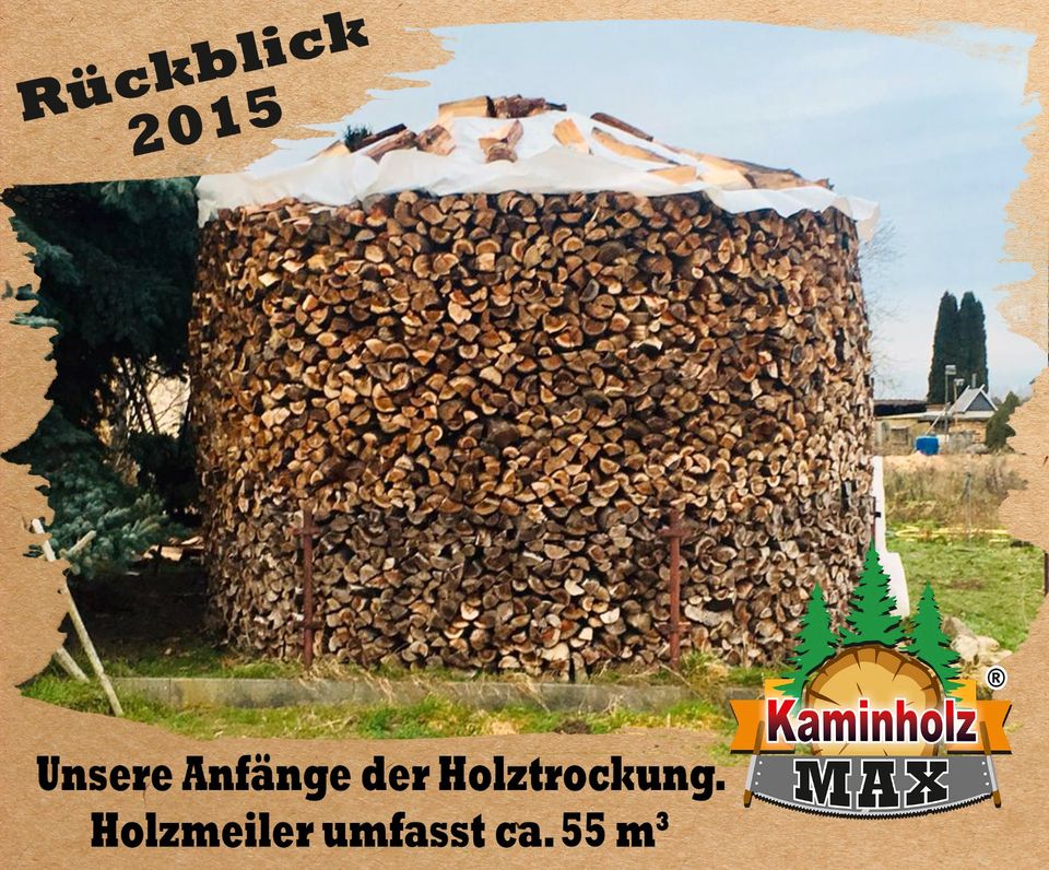 ab 4 m³ bis 35 m³ - 30 km um GRIMMA, Kaminholz, Brennholz, Feuerholz, Holzvergaser, Kamin, Holz, Feuer, Brenn in Grimma