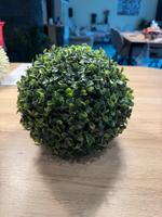 Buchsbaumkugel Buchskugel Deko 20cm Brandenburg - Hoppegarten Vorschau
