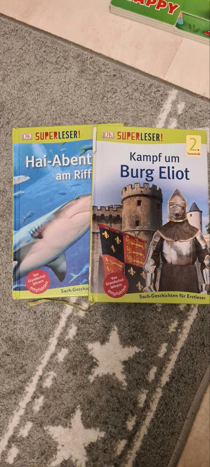 Verschiedene  Bücher in Horn-Bad Meinberg