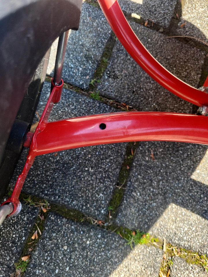 Balance Bike Rot mit Rücktritt und Fahnenloch in Zülpich