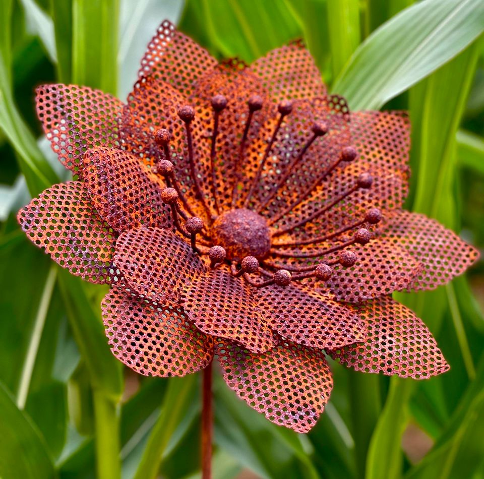 Blume in Edelrost von Wackers-Paradiesgarten in Bruck