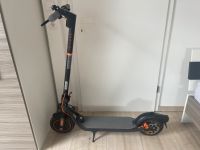 Ninebot Segway F40 D II 2 110km TOP E Scooter Nordrhein-Westfalen - Marsberg Vorschau