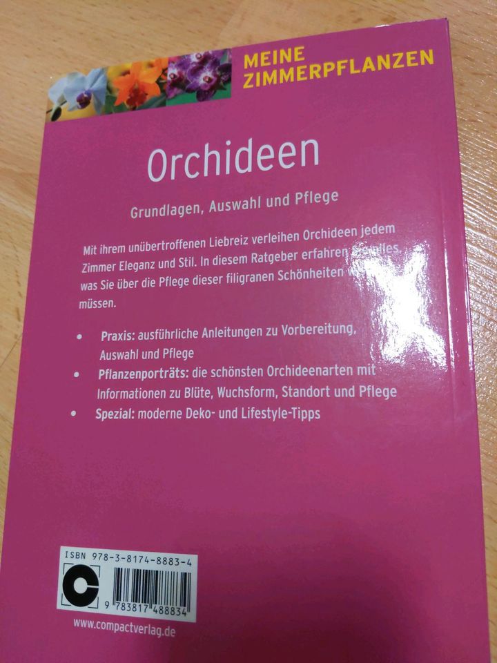 Orchideen Grundlagen, Auswahl und Pflege Zimmerpflanzen in Bad Aibling