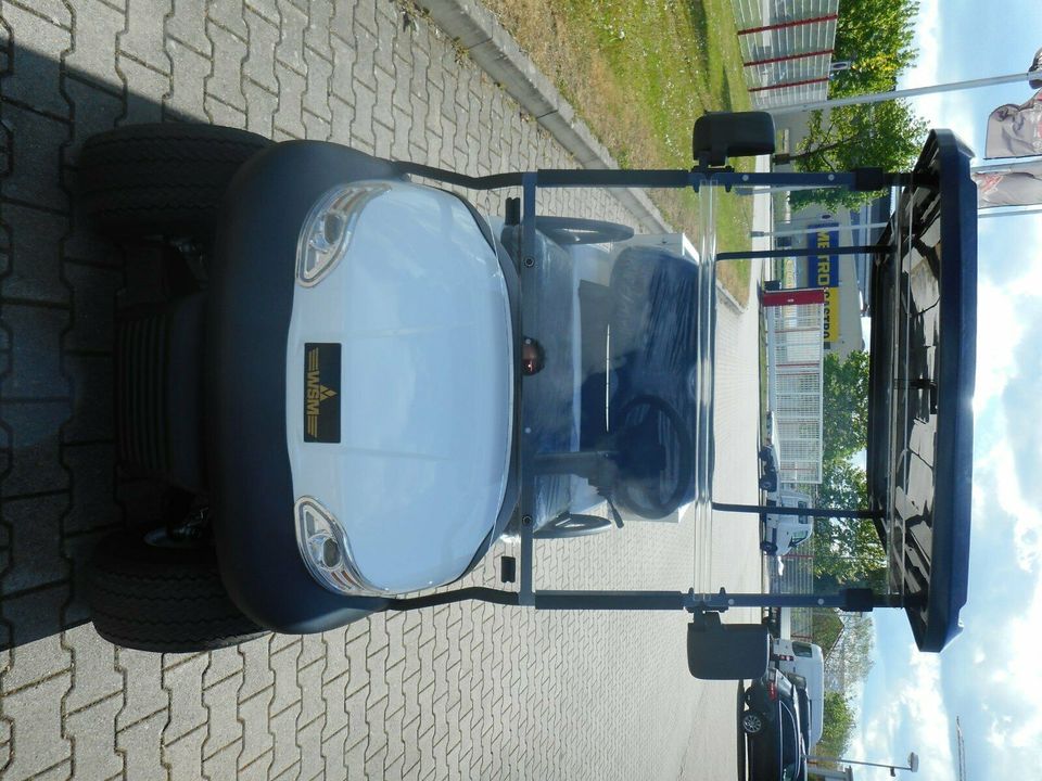 WSM Golfcart EX1300+Transportbox Elektrofahrzeug in Satteldorf