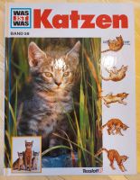 Was ist was Katzen ungebraucht Bayern - Königsberg i. Bayern Vorschau