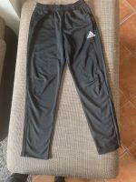 Adidas Jogginghose Trainingshose schwarz lang Größe 164 Rheinland-Pfalz - Löf Vorschau