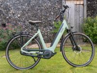 Damen E-Bike Qwik iMN7+ Baden-Württemberg - Schallstadt Vorschau