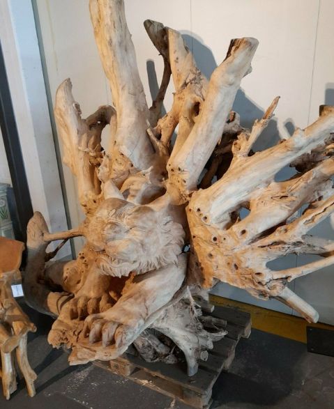 Lebensgroße Drachen Holzstatue Wurzelholz in Essen