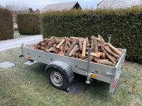 Feuerholz Kaminholz Brennholz Holz 1 RM 1,43SRM Scheitholz 40 cm Sachsen - Auerbach (Vogtland) Vorschau