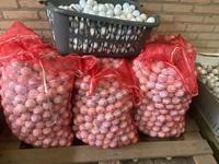 6000 Golfbälle Niedersachsen - Binnen Vorschau