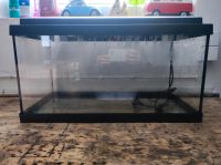 60l Aquarium Terrarium Baden-Württemberg - Weil der Stadt Vorschau