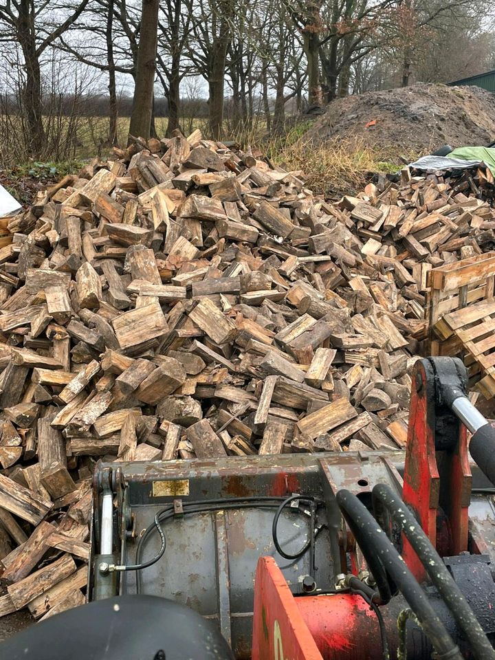 Feuerholz- Brennholz und Kaminholz Kammer getrocknet. in Boostedt