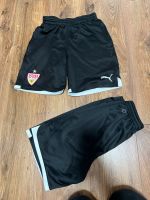 Puma Shorts 2 Stück. Gr 164  Stuttgart. Baden-Württemberg - Trossingen Vorschau