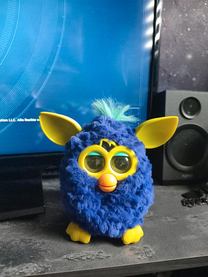 Furby Hasbro 2012 blau gelb Spielzeug Figur in Arnstadt