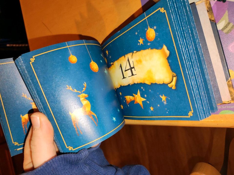 Der inoffizielle Harry Potter Adventskalender von riva buch in Dresden