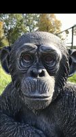 ‼️Schimpanse 52cm Chita Bonobo Steinguss Affe Affen Menschenaffe Essen - Essen-Stadtmitte Vorschau