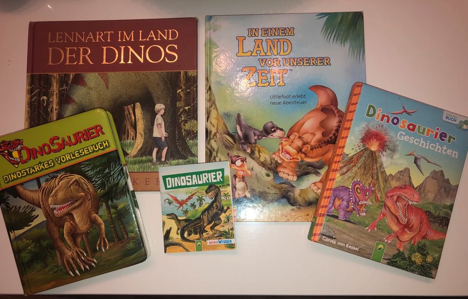 Bücher Dinosaurier in Wallmerod