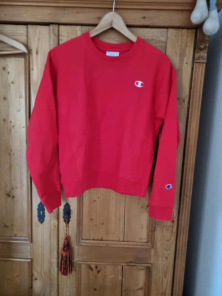 Champion Sweatshirt Pulli rot in Kastl