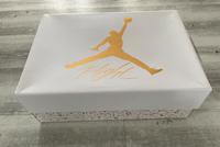 Nike Air Jordan 4 Retro Schuhkarton, inkl. Innenverpackung Nordrhein-Westfalen - Xanten Vorschau