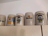 Bier Krüge / 12 Bierkrüge Eimsbüttel - Hamburg Niendorf Vorschau