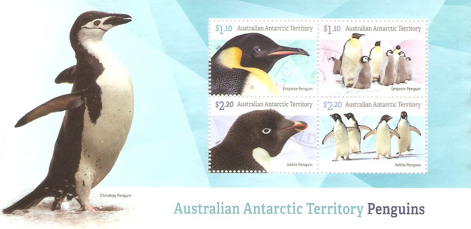 Australische Antarktis Block 32 ° Fauna Tiere Vögel Kaiserpinguin in Kamen
